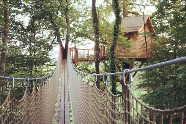 Boomhut Le Chêne Perché in de Franse Ardennen Boomhut Le Chêne Perché in de Franse Ardennen