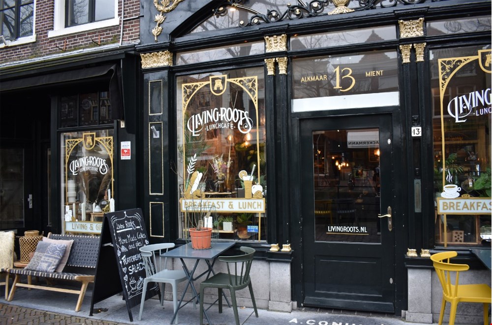 Living Roots Living Roots