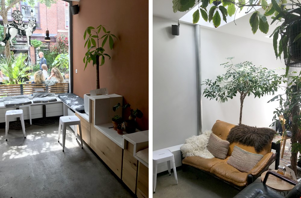 Shoppen in Haarlem: deze shoppingroute zit boordevol inspiratie