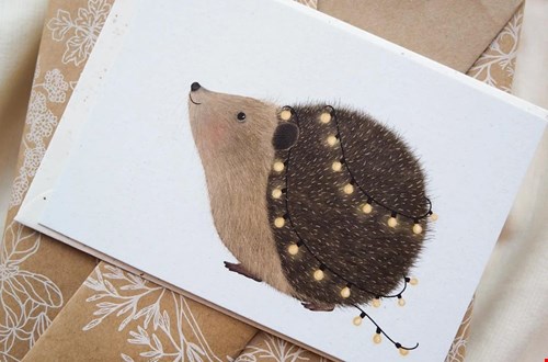 kaartjevanel.nl kaartjevanel.nl