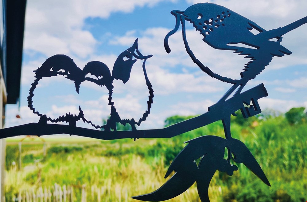 Metalbirds geven jouw tuin uitstraling! Metalbirds geven jouw tuin uitstraling!