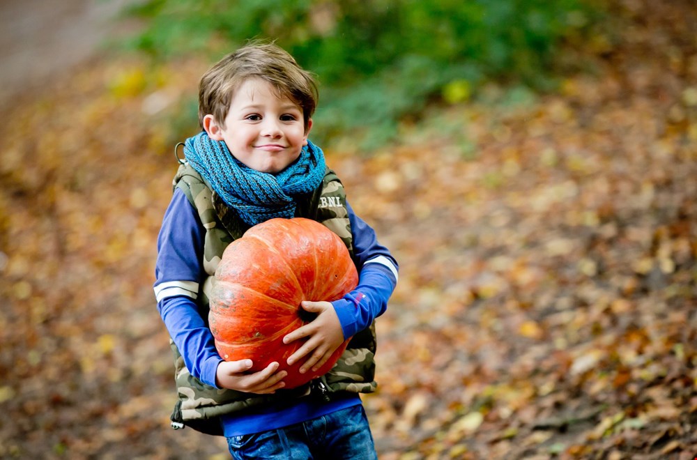 Herfstvakantie! Herfstvakantie!