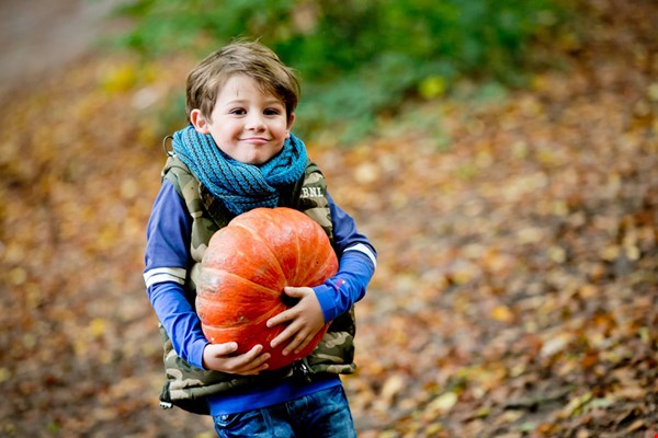 Herfstvakantie! Herfstvakantie!