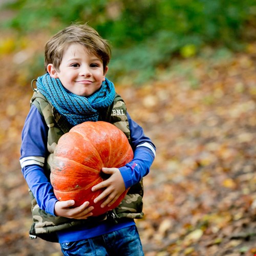 Herfstvakantie! Herfstvakantie!