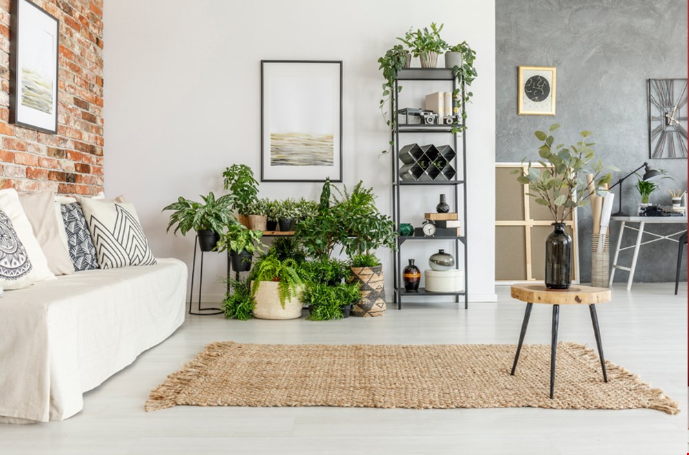 Zo restyle je jouw huis met weinig geld Zo restyle je jouw huis met weinig geld
