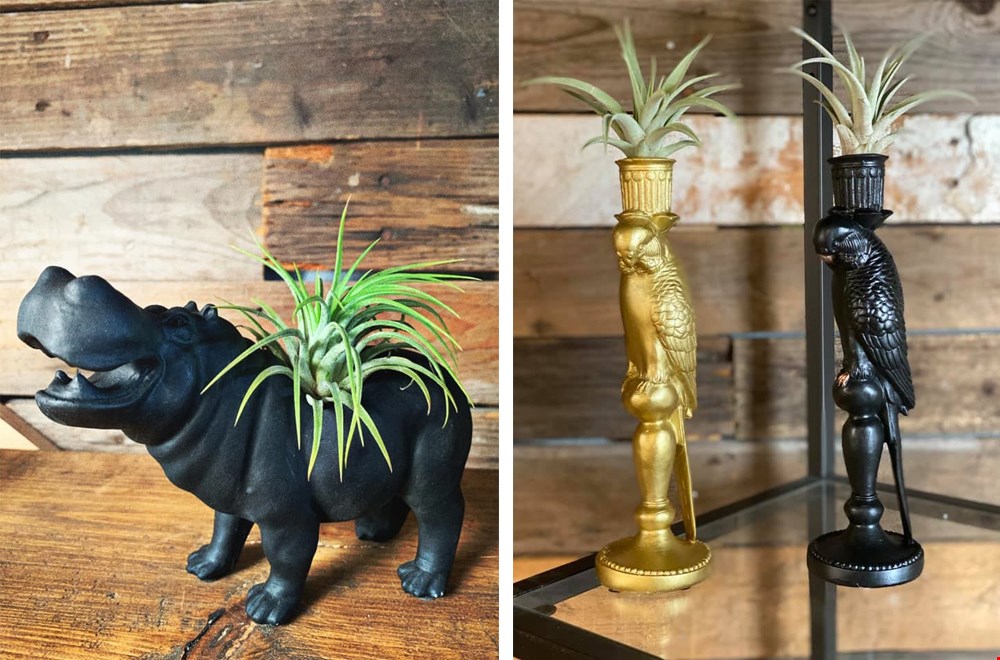 Deze dieren zijn echte eyecatchers in je huis! Deze dieren zijn echte eyecatchers in je huis!