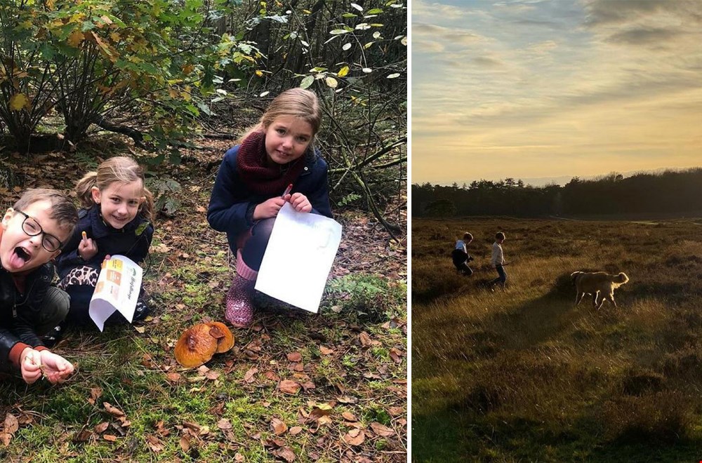 Voor kids zijn er zoveel speelse manieren om de natuur/omgeving te ontdekken! Op links zie je de herfstbingo van Kidsproof van afgelopen jaar! Voor kids zijn er zoveel speelse manieren om de natuur/omgeving te ontdekken! Op links zie je de herfstbingo van Kidsproof van afgelopen jaar!