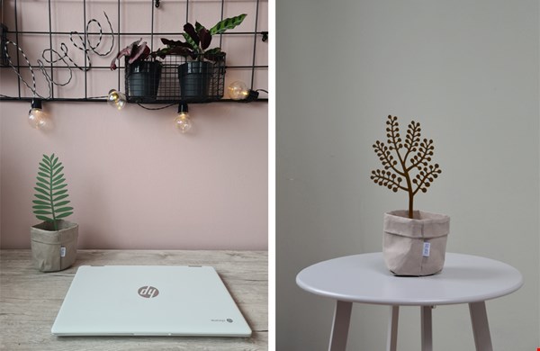 Leafies bij Flavourites thuis Leafies bij Flavourites thuis