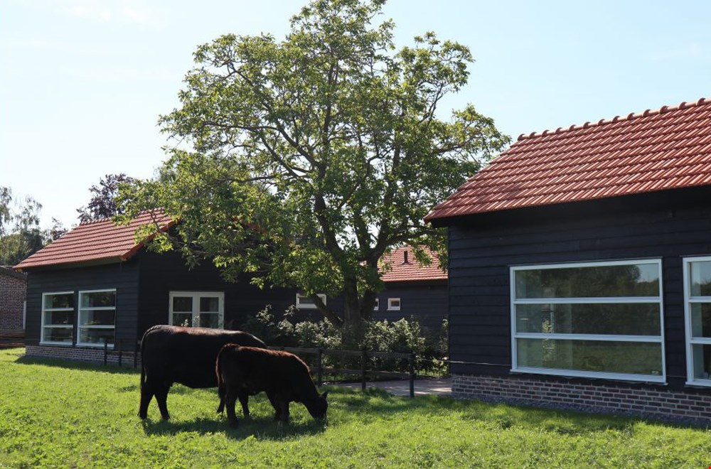 Met de kippen op stok in Limburg Met de kippen op stok in Limburg