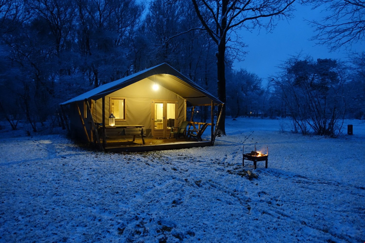 Leuk: ga op wintersafari! Leuk: ga op wintersafari!