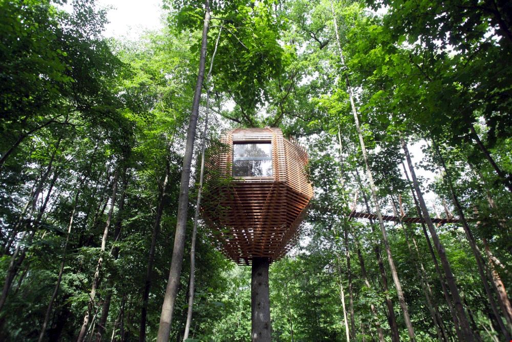 Hoog in de bomen, tiny tree house ORIGIN Hoog in de bomen, tiny tree house ORIGIN