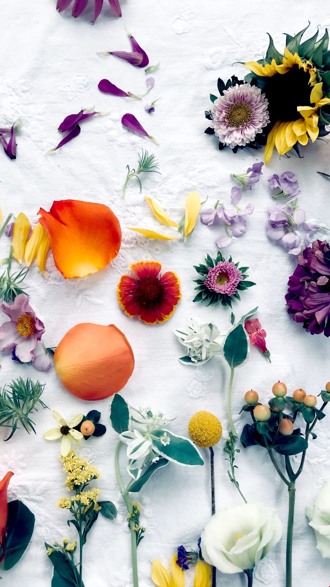 Wallpaper flowers Wallpaper flowers