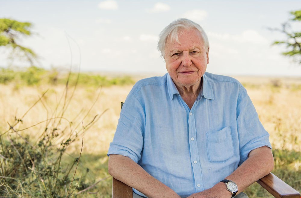 David Attenborough David Attenborough