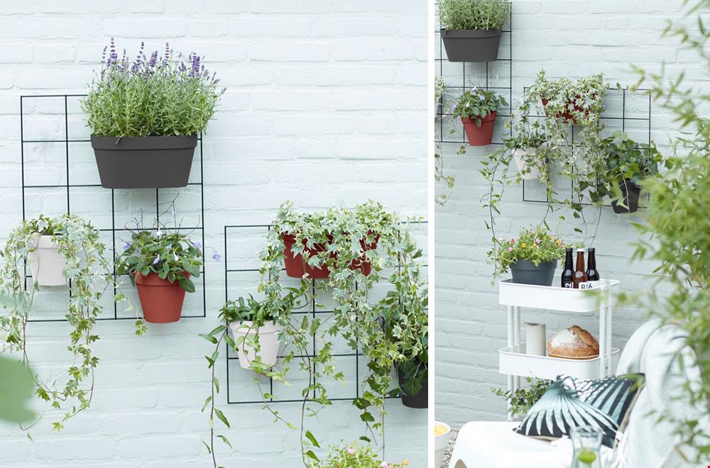 Verticaal tuinieren met plantenrekjes Verticaal tuinieren met plantenrekjes