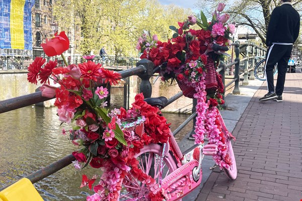 Daar gaan we dan!  Daar gaan we dan!