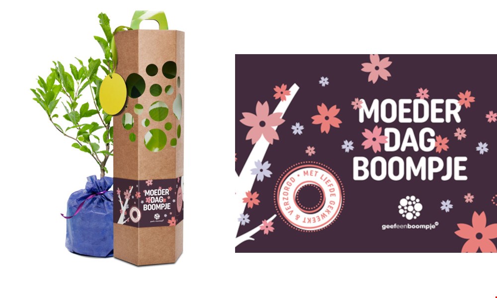 Een duurzaam cadeau? Geef eens een boompje! Een duurzaam cadeau? Geef eens een boompje!