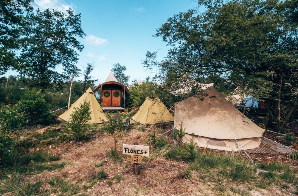 Je eigen campsite op pop-up glamping Appeltern Je eigen campsite op pop-up glamping Appeltern