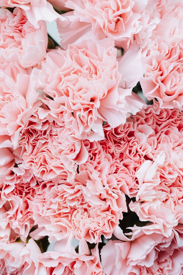 Wallpaper bloemen Wallpaper bloemen
