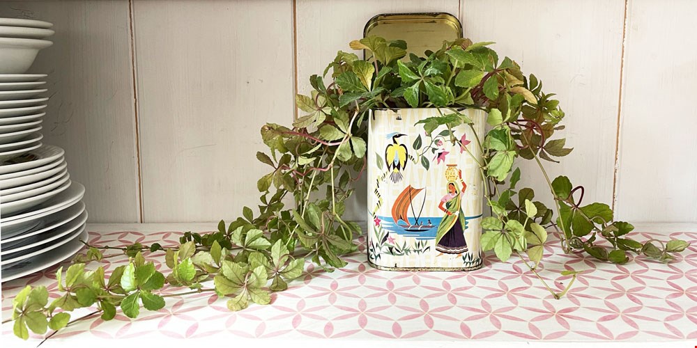 Kringloopblikje gebruik ik als plantenpotje Kringloopblikje gebruik ik als plantenpotje
