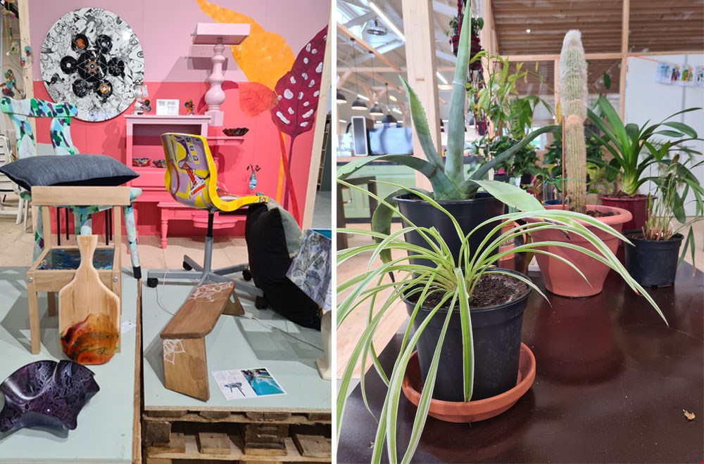 Upcycle-kunst en een plantenasiel bij Rataplan in Alkmaar Upcycle-kunst en een plantenasiel bij Rataplan in Alkmaar