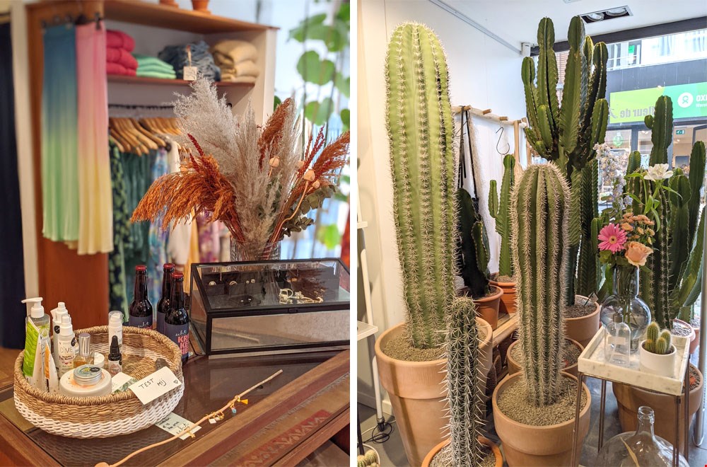 Echt Belgisch (links) en de reuzachtige cactussen van Fleur de Lies (rechts) Echt Belgisch (links) en de reuzachtige cactussen van Fleur de Lies (rechts)