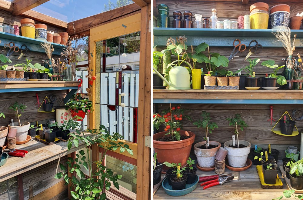 Ruimte genoeg voor alle planten! Ruimte genoeg voor alle planten!