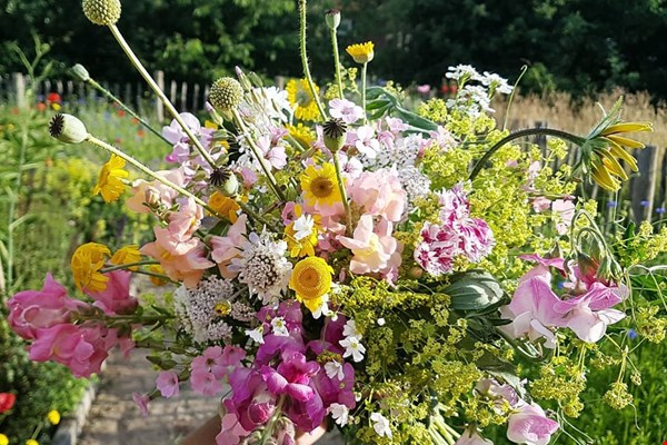 Zelf geplukt in de tuin van Doityourselves