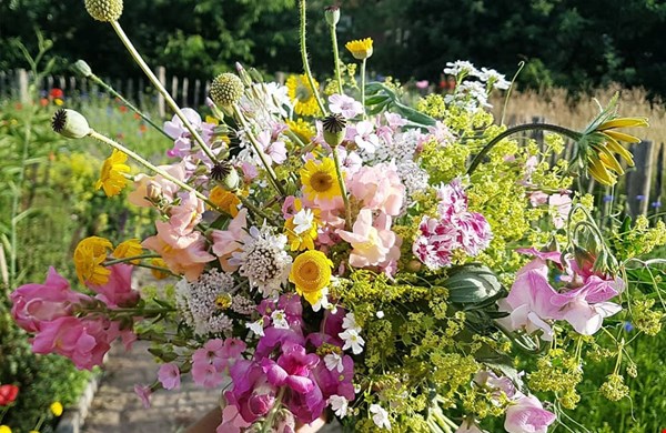 Zelf geplukt in de tuin van Doityourselves Zelf geplukt in de tuin van Doityourselves