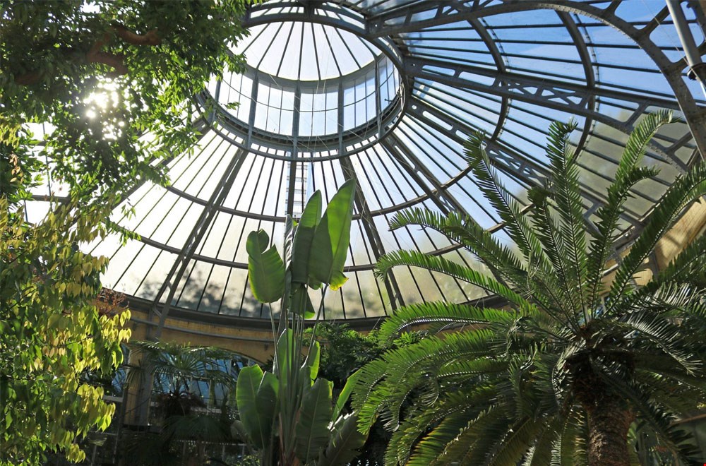 Daguitstapje naar de Hortus Botanicus in Amsterdam Daguitstapje naar de Hortus Botanicus in Amsterdam