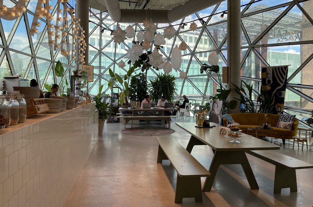 Sissy Boy Homeland Sissy Boy Homeland