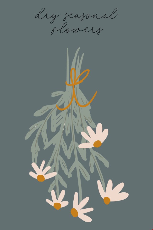 Droogbloemen Droogbloemen