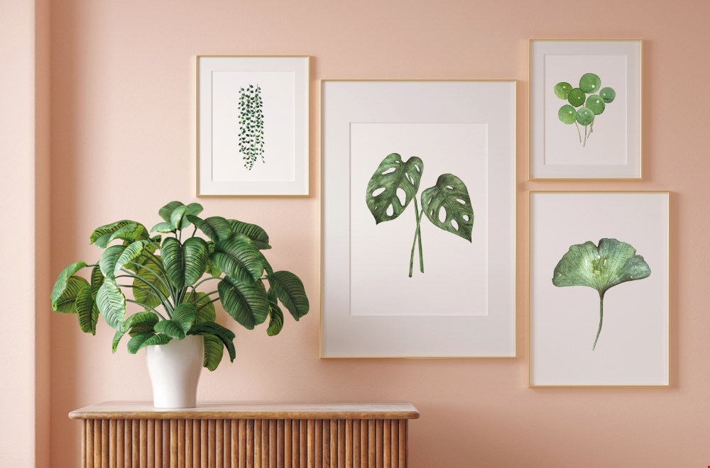 Botanische plaatjes Botanische plaatjes