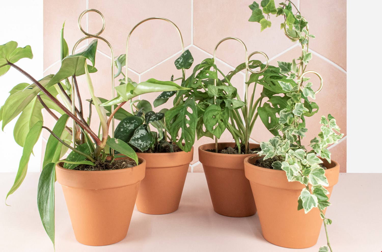 Botanopia Botanopia