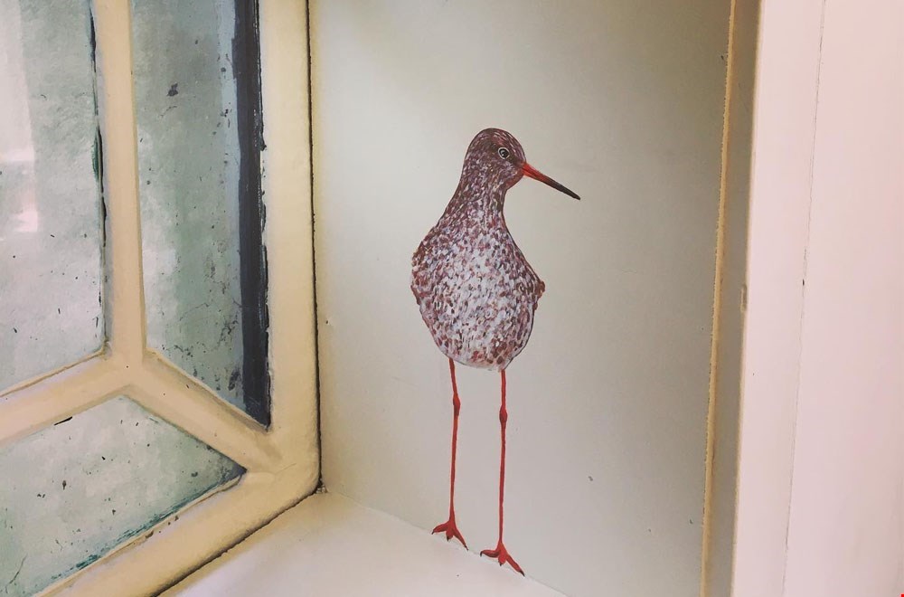 Hallo Vogel Hallo Vogel