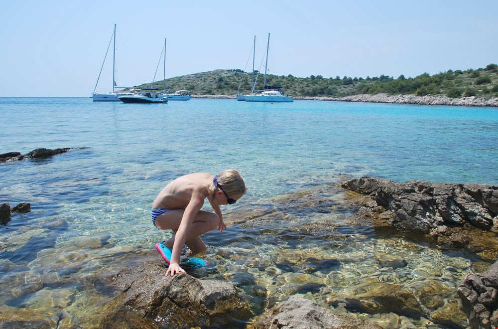Speuren in het super heldere water naar zeedieren, stenen en schelpen Speuren in het super heldere water naar zeedieren, stenen en schelpen