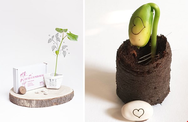 Magic Beans van kop-op Magic Beans van kop-op