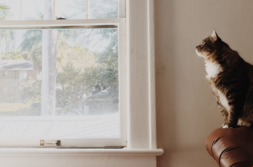 Pak zoveel mogelijk daglicht mee Pak zoveel mogelijk daglicht mee