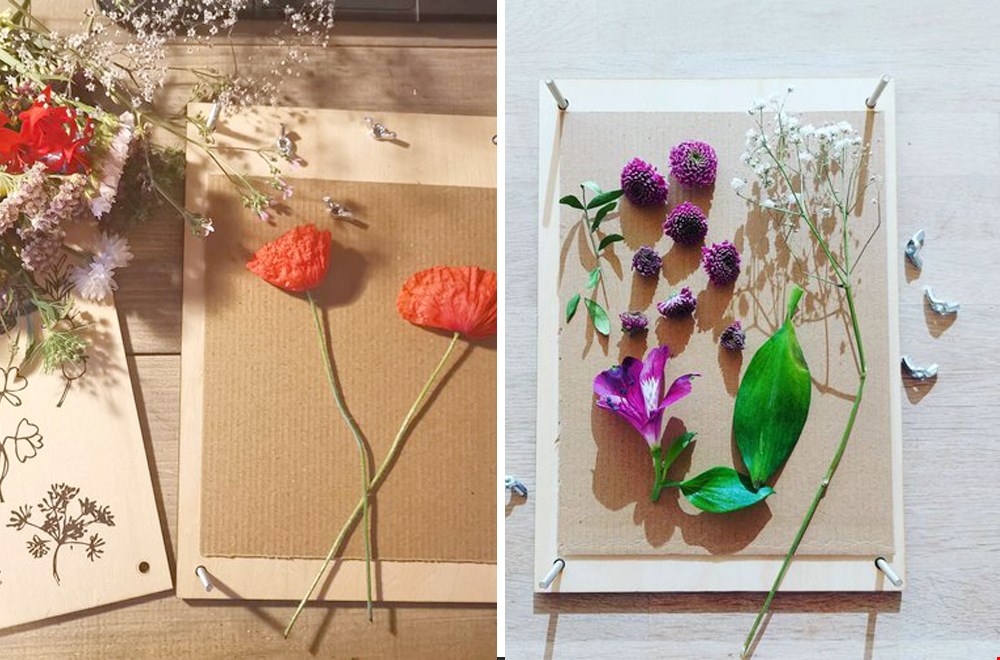 Handig: een bloemenpers Handig: een bloemenpers