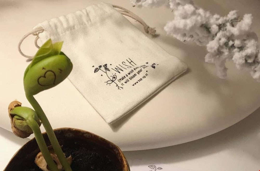 Magische wensbonen Magische wensbonen