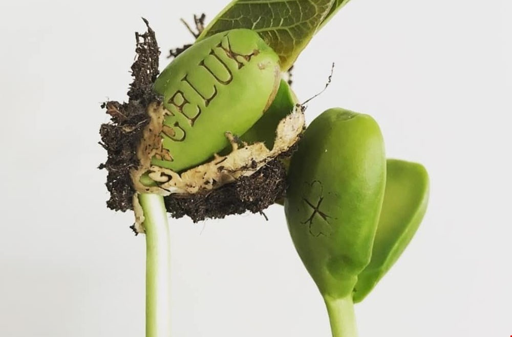 Geluk zit vaak in de kleine dingen Geluk zit vaak in de kleine dingen