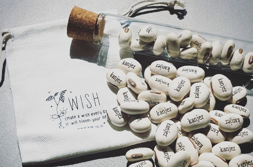 De tekst op de wensbonen blijft op de schutblaadjes van de plant staan! De tekst op de wensbonen blijft op de schutblaadjes van de plant staan!