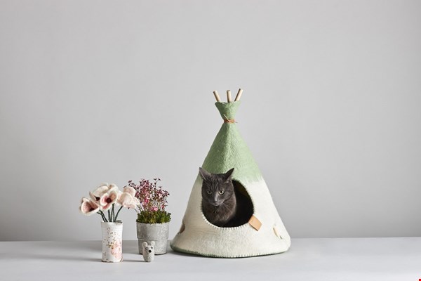 Tipi voor je kat Tipi voor je kat