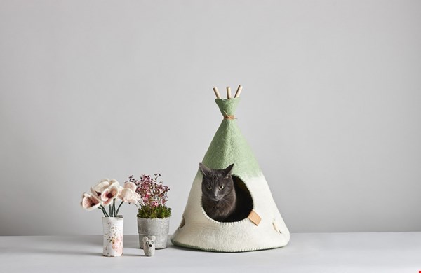 Tipi voor je kat Tipi voor je kat