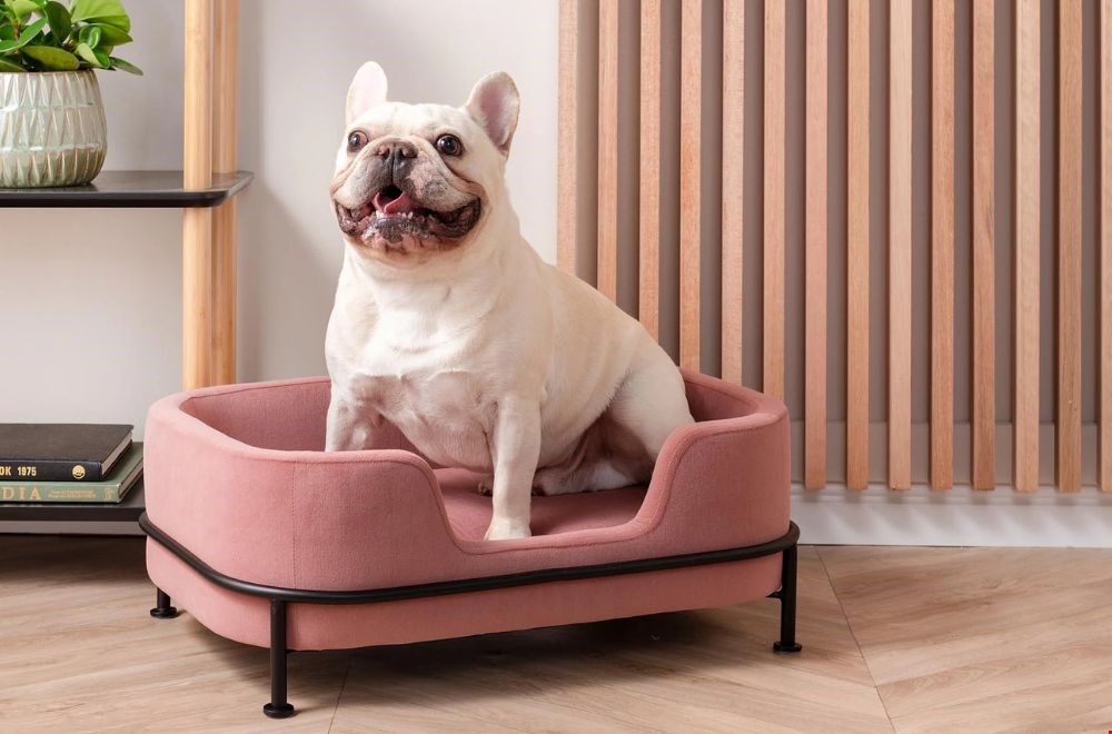 Op z'n eigen troon van Naduvi Op z'n eigen troon van Naduvi