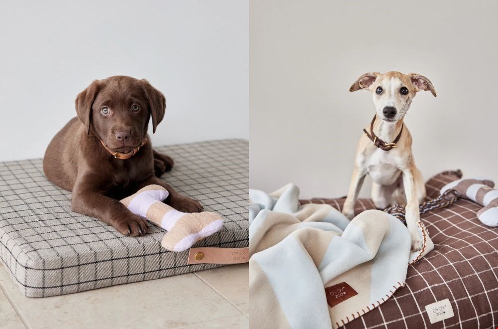 Super stijlvol dierenaccessoires van Oyoy bij Wonen met Lef Super stijlvol dierenaccessoires van Oyoy bij Wonen met Lef