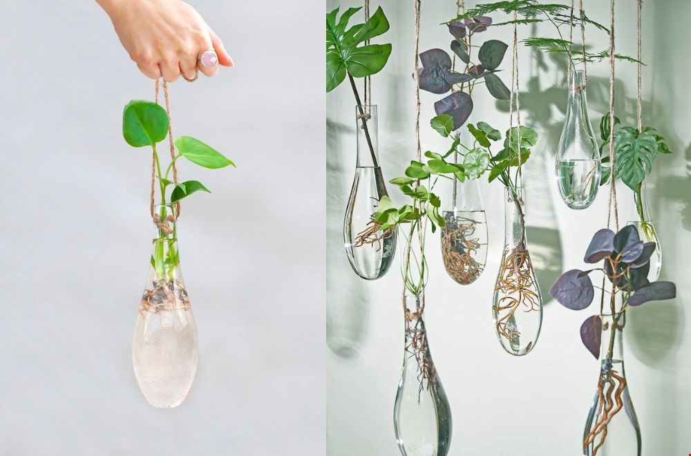 Voor je eigen hydro cultuur, vaasjes van PLNTS Voor je eigen hydro cultuur, vaasjes van PLNTS