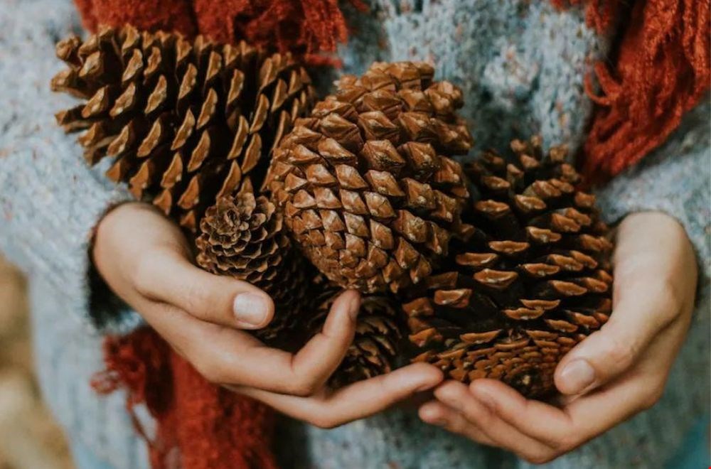 Dille&Kamille is tijdens Black Friday gesloten Dille&Kamille is tijdens Black Friday gesloten