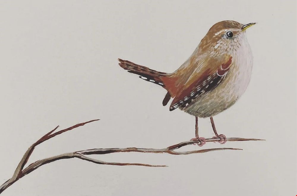 Hallo Vogel Hallo Vogel