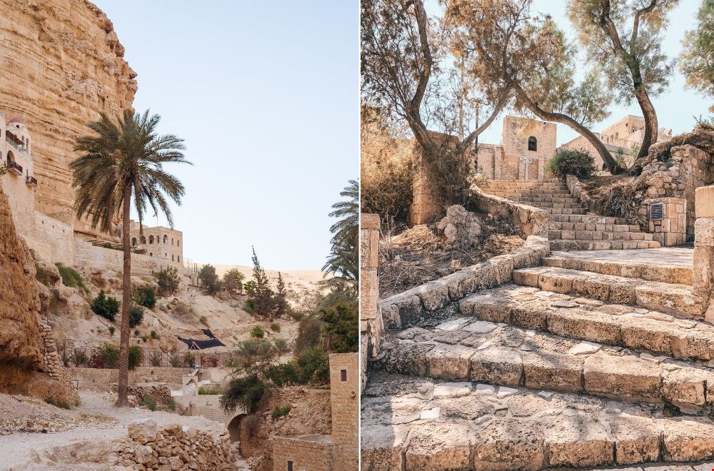 andolives.nl andolives.nl