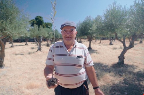 andolives.nl andolives.nl